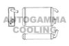 AUTOGAMMA 101785 Heat Exchanger, interior heating